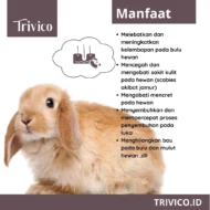 Trivico Minyak VCO Hewan Spray 100ml - Obat Ampuh Scabies, Kurap, Gudik, serta Jamur pada Hewan - Image 5