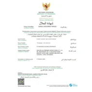 TRIVICO Minyak VCO Organik Virgin Coconut Oil Spray 100ml - Untuk Masak, Salad Dressing dan Menumis - Image 9